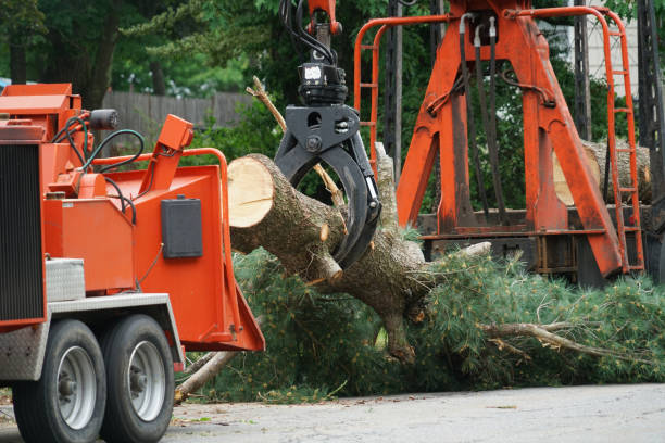 Best Aeration Services  in Richlands, NC